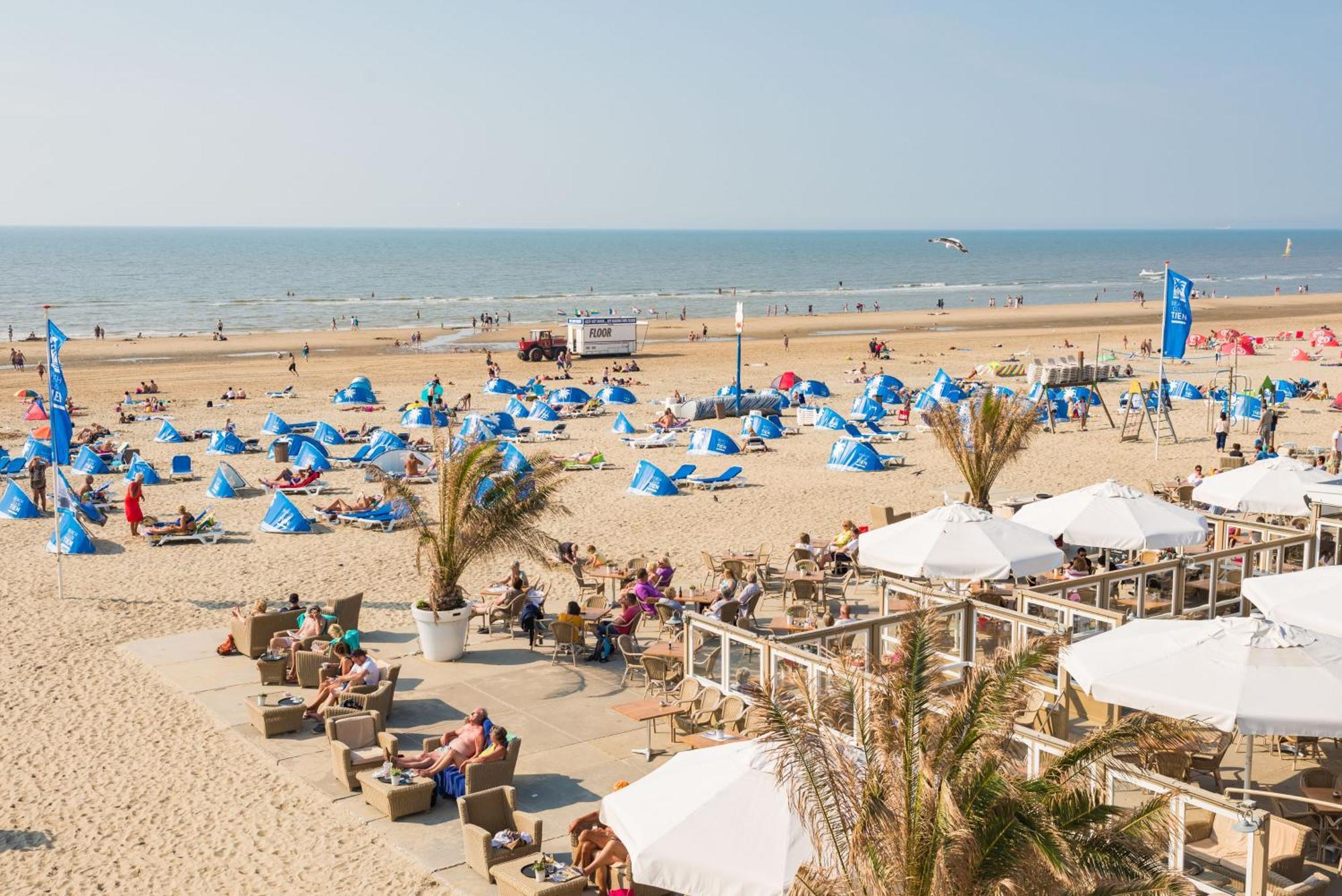 Sand & Dunes Apartment Zandvoort Bagian luar foto